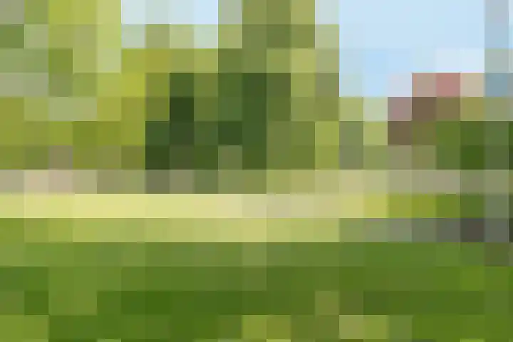 Geefhuishof 1 Tilburg thumbnail 4