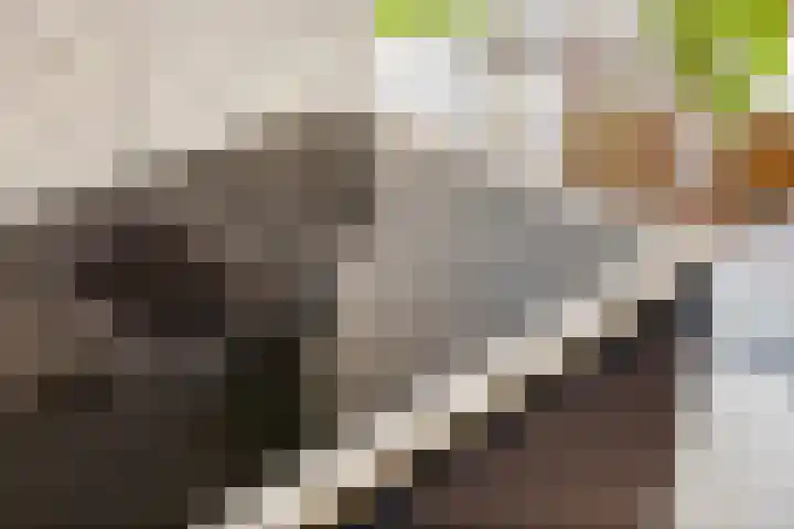 Geefhuishof 2 Tilburg thumbnail 17