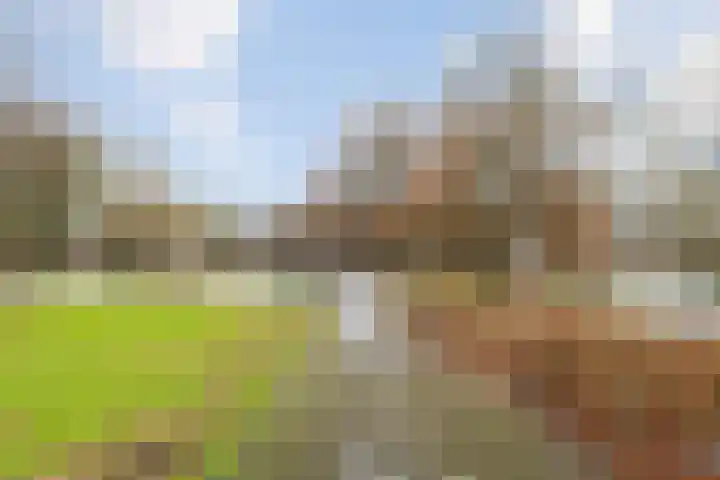Geefhuishof 2 Tilburg thumbnail 31