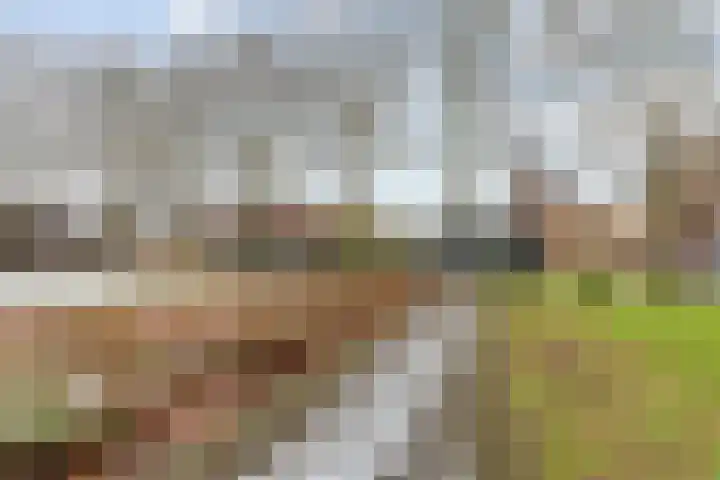 Geefhuishof 2 Tilburg thumbnail 32