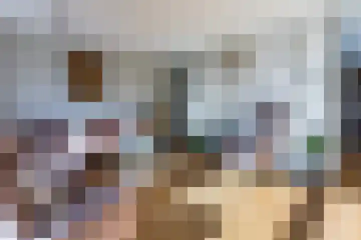 Geefhuishof 4 Tilburg thumbnail 12