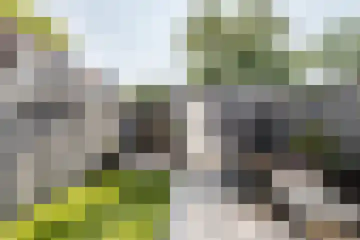 Geefhuishof 4 Tilburg thumbnail 36