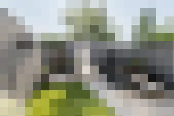 Geefhuishof 4 Tilburg thumbnail 37
