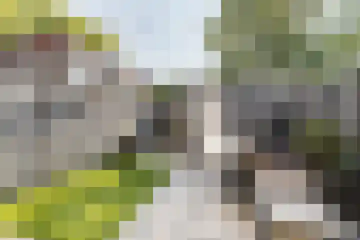 Geefhuishof 4 Tilburg thumbnail 38