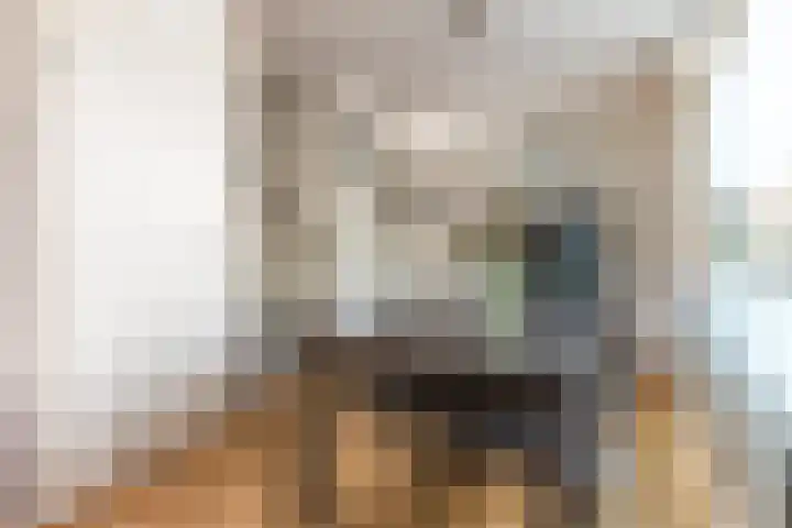 Geefhuishof 4 Tilburg thumbnail 4