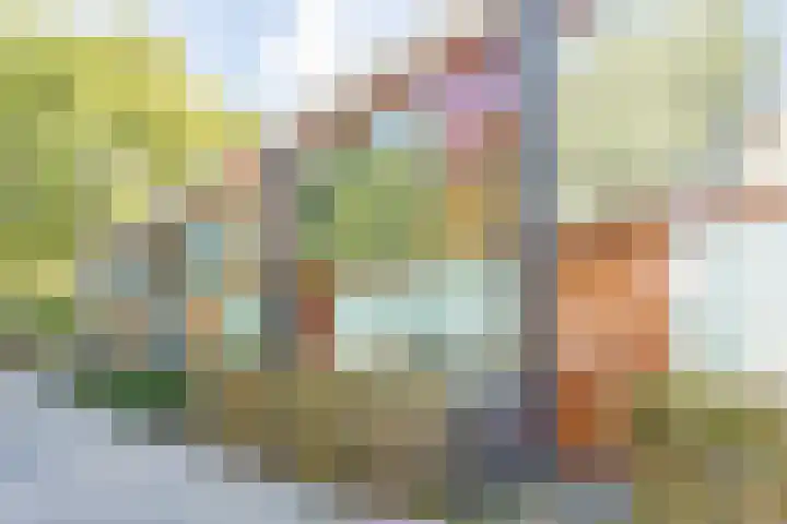 Geefhuishof 4 Tilburg thumbnail 43