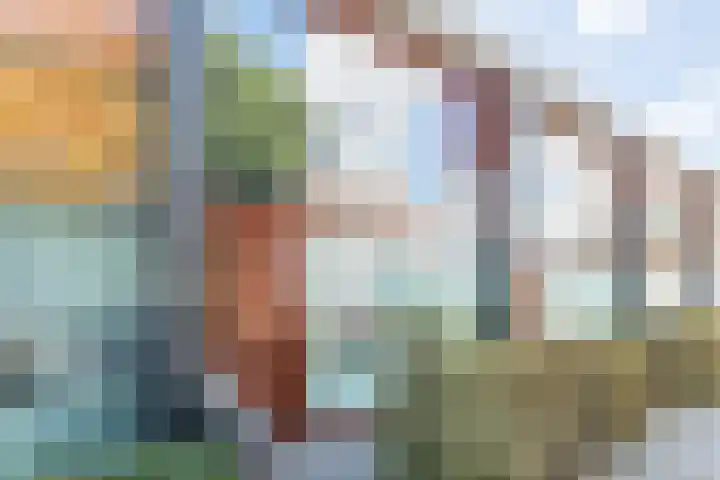 Geefhuishof 4 Tilburg thumbnail 44