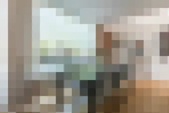 Geefhuishof 4 Tilburg thumbnail 9