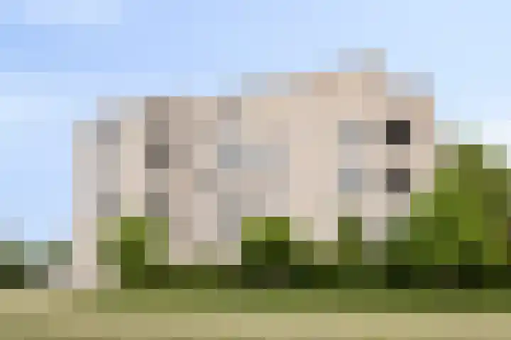 Geel-groenlaan 179 Zoetermeer thumbnail 21