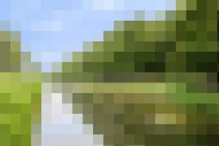 Geel-groenlaan 179 Zoetermeer thumbnail 23