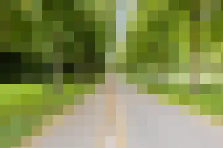 Geel-groenlaan 179 Zoetermeer thumbnail 24