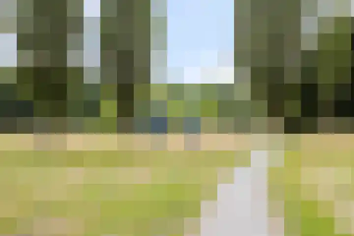 Geel-groenlaan 179 Zoetermeer thumbnail 25