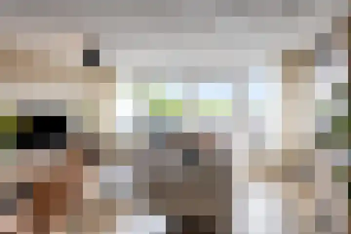 Geel-groenlaan 179 Zoetermeer thumbnail 8