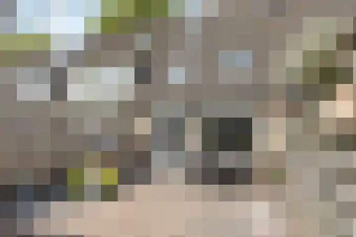 Geel-groenlaan 26 Zoetermeer thumbnail 22