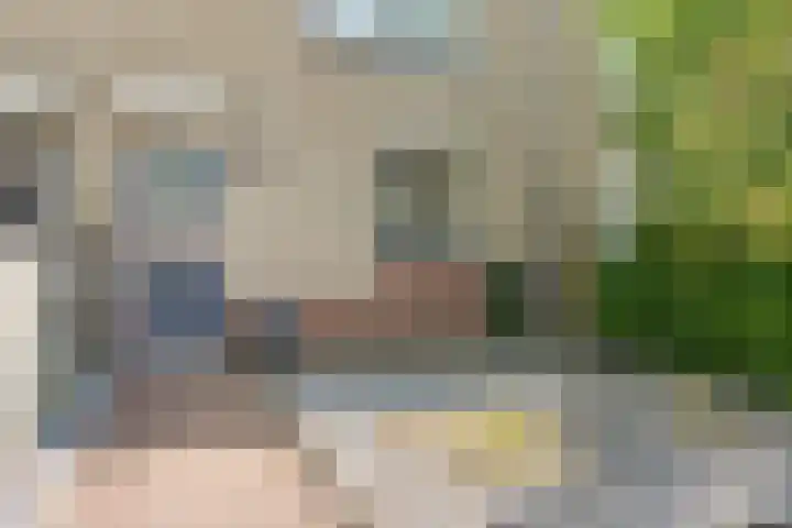 Geel-groenlaan 26 Zoetermeer thumbnail 23