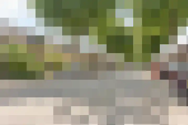 Geel-groenlaan 26 Zoetermeer thumbnail 25