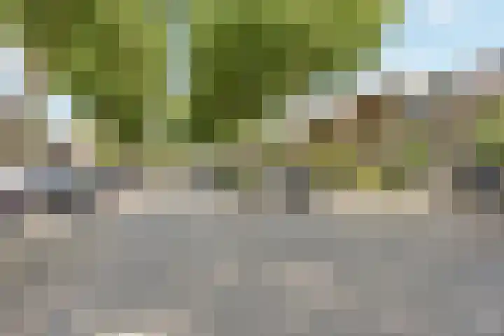 Geel-groenlaan 26 Zoetermeer thumbnail 26