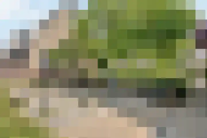 Geel-groenlaan 26 Zoetermeer thumbnail 27