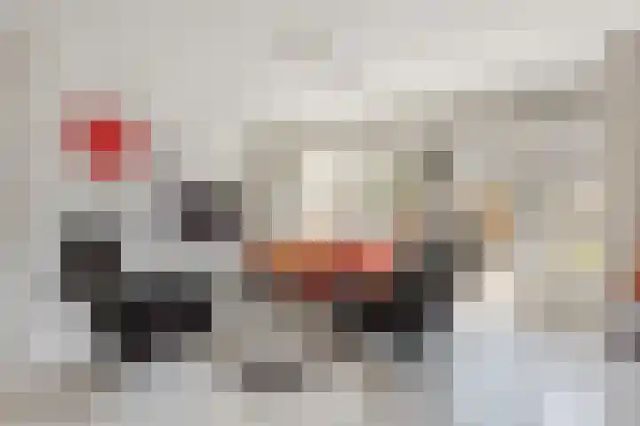 Geel-groenlaan 26 Zoetermeer thumbnail 4