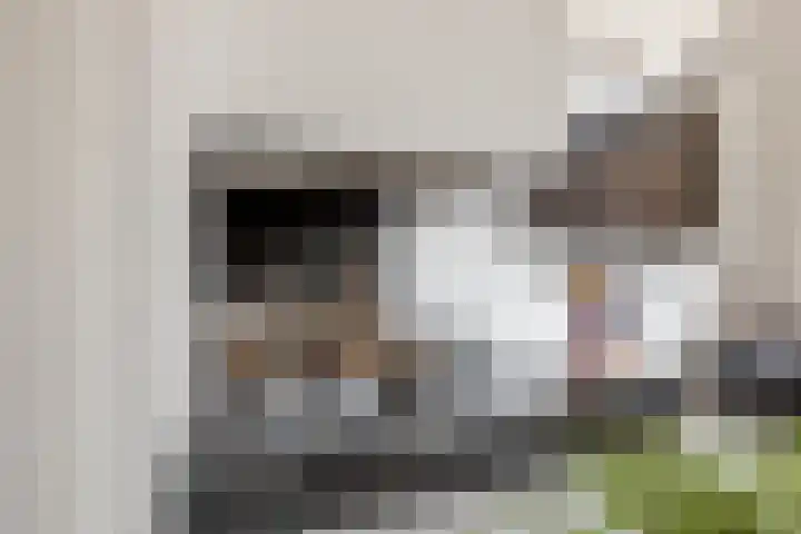 Geel-groenlaan 26 Zoetermeer thumbnail 5