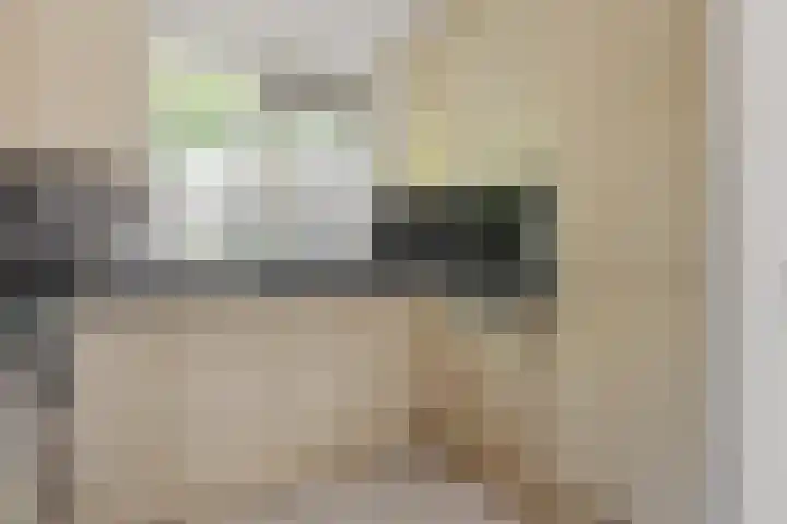 Geel-groenlaan 26 Zoetermeer thumbnail 8
