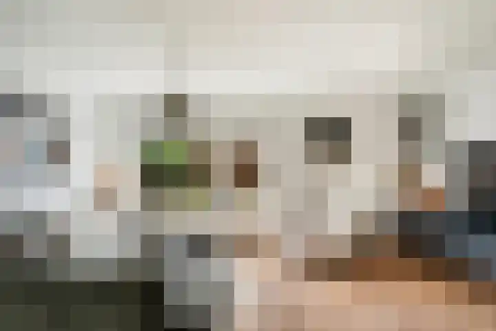 Geel-groenlaan 53 Zoetermeer thumbnail 11