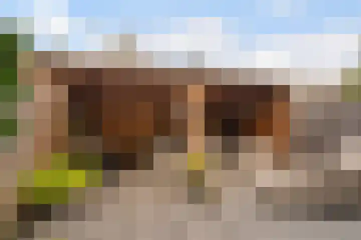 Geel-groenlaan 53 Zoetermeer thumbnail 13