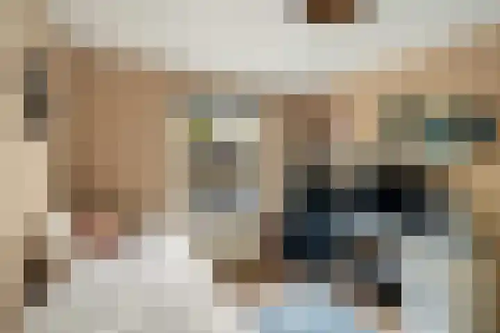 Geel-groenlaan 53 Zoetermeer thumbnail 34