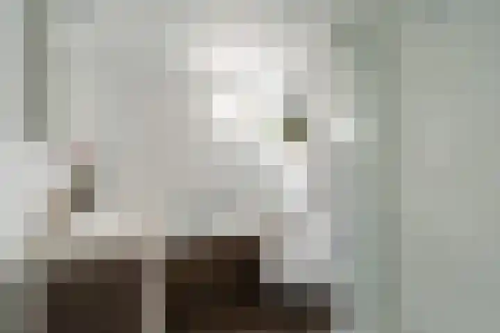 Geel-groenlaan 53 Zoetermeer thumbnail 36
