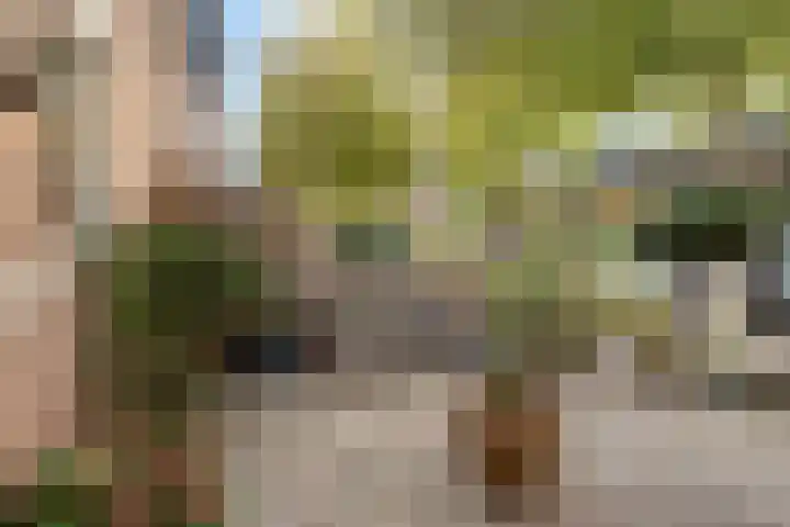 Geel-groenlaan 53 Zoetermeer thumbnail 46