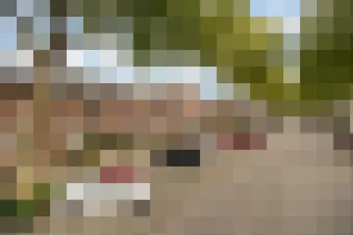 Geel-groenlaan 53 Zoetermeer thumbnail 48