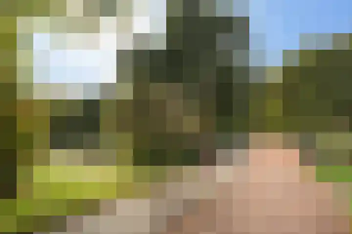 Geel-groenlaan 53 Zoetermeer thumbnail 49