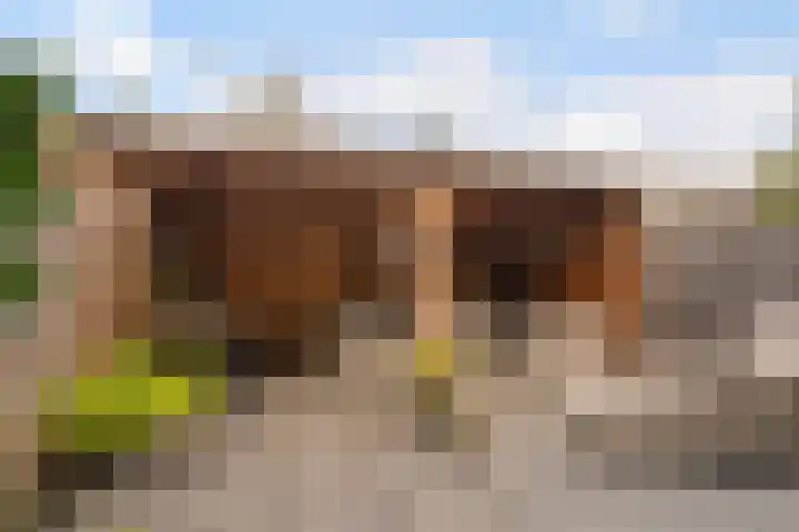 Geel-groenlaan 53 Zoetermeer thumbnail 5