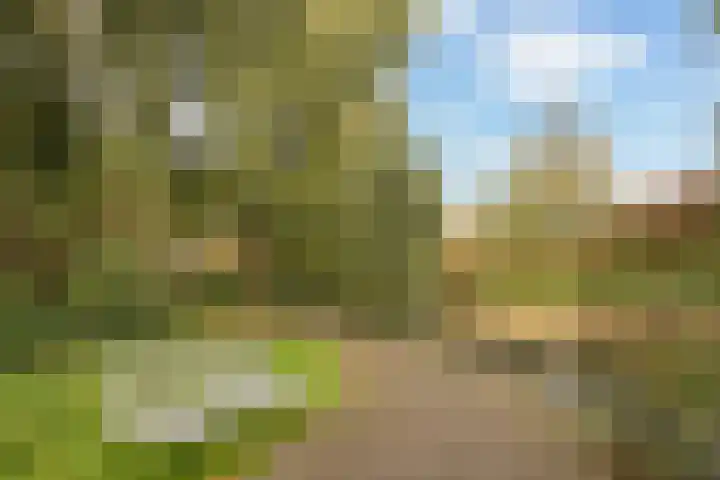Geel-groenlaan 53 Zoetermeer thumbnail 50