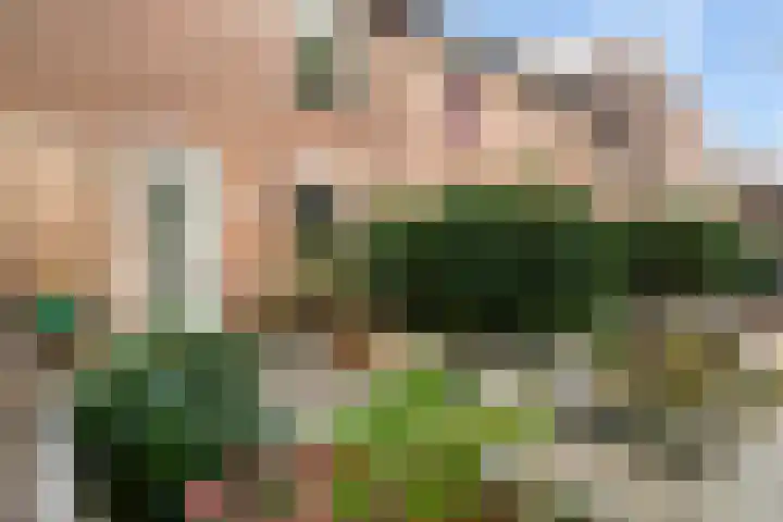 Geel-groenlaan 53 Zoetermeer thumbnail 6