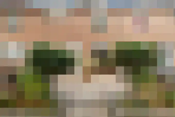 Geel-groenlaan 53 Zoetermeer thumbnail 7