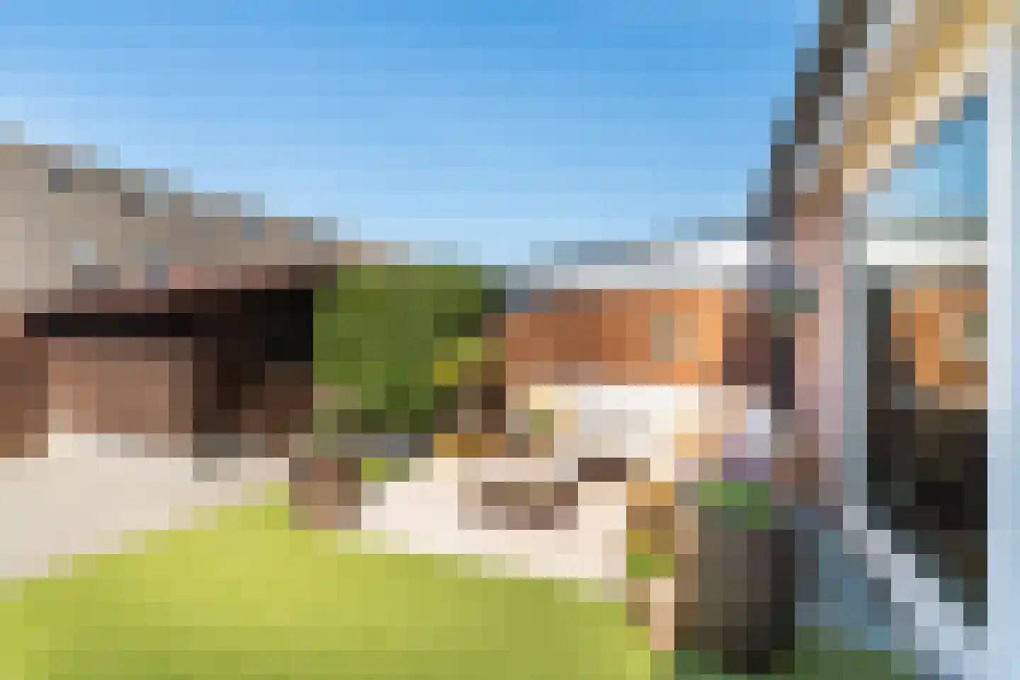 Geel-groenlaan 67 Zoetermeer thumbnail 20