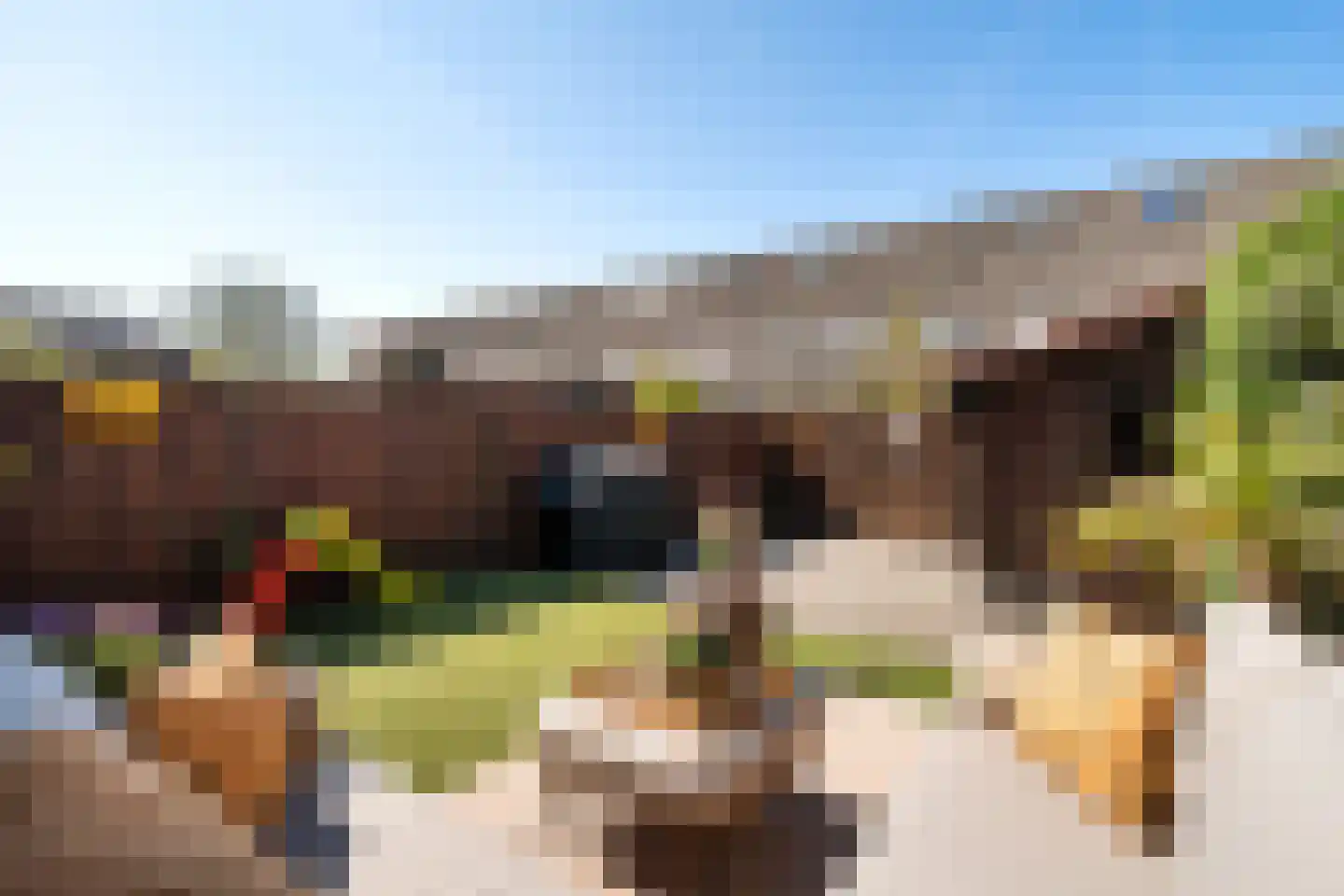 Geel-groenlaan 67 Zoetermeer thumbnail 21