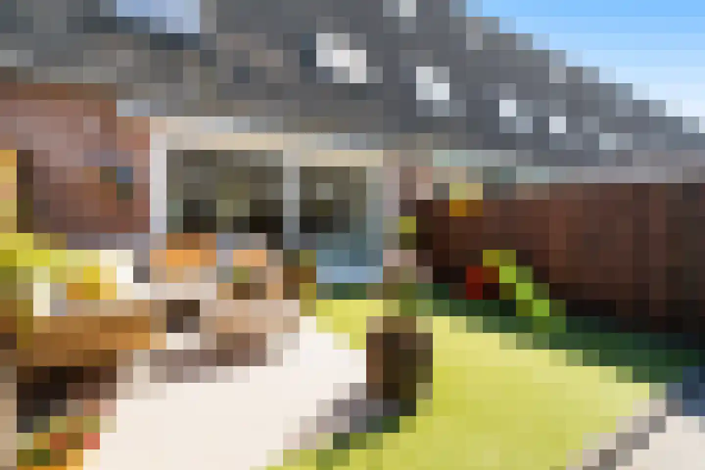 Geel-groenlaan 67 Zoetermeer thumbnail 23