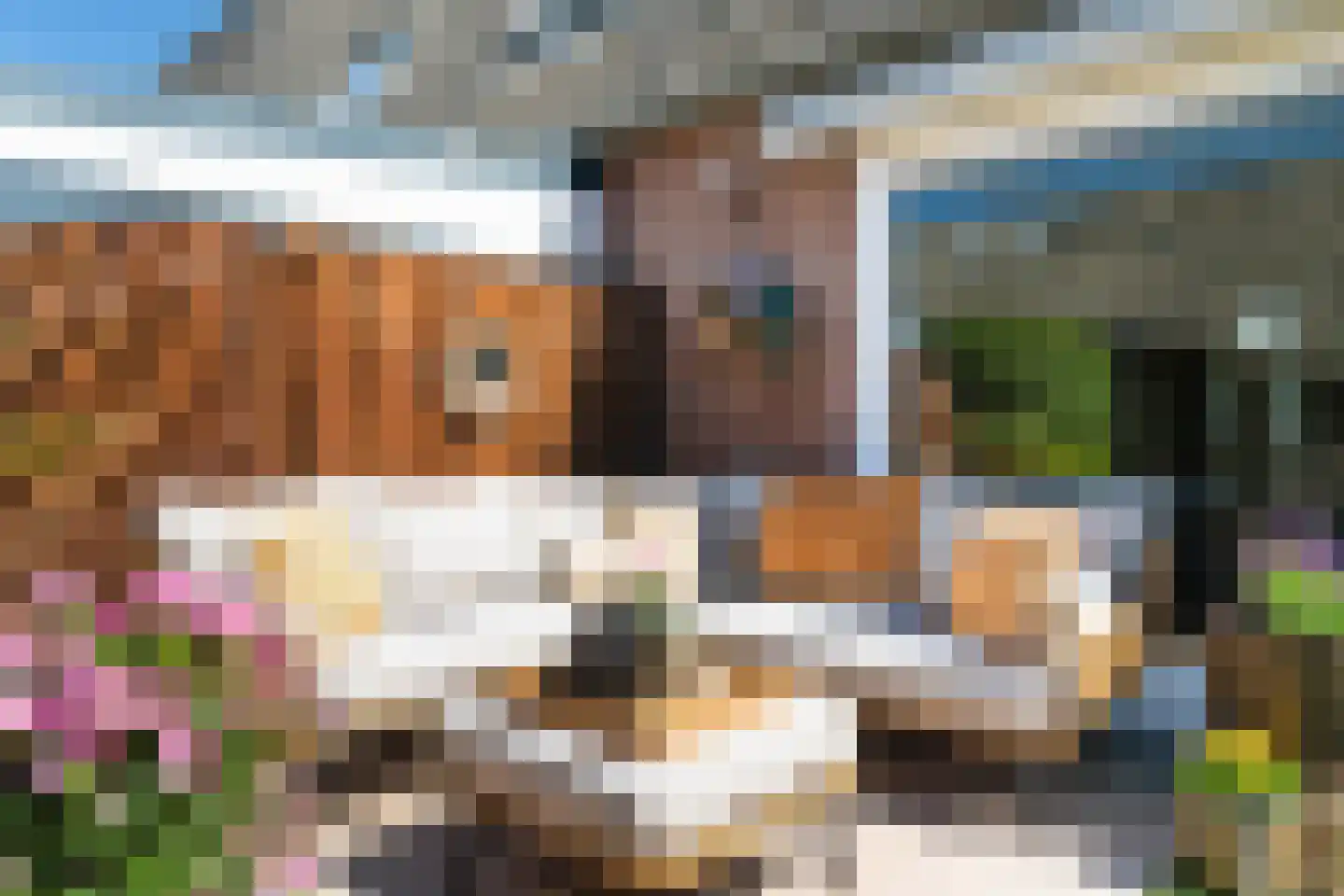 Geel-groenlaan 67 Zoetermeer thumbnail 24