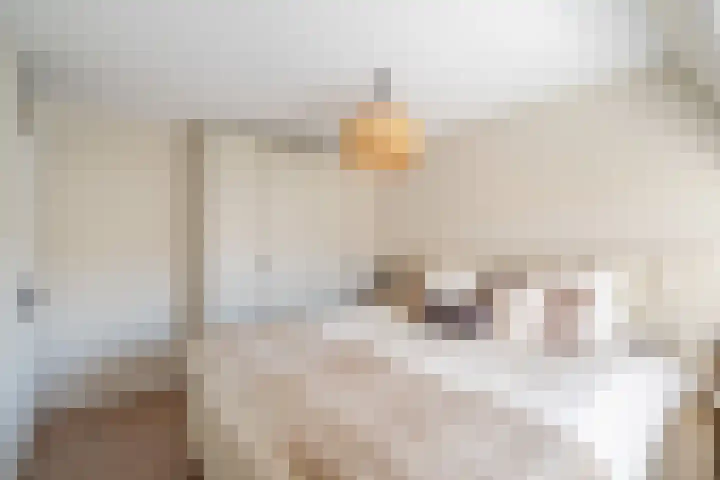 Geel-groenlaan 67 Zoetermeer thumbnail 34