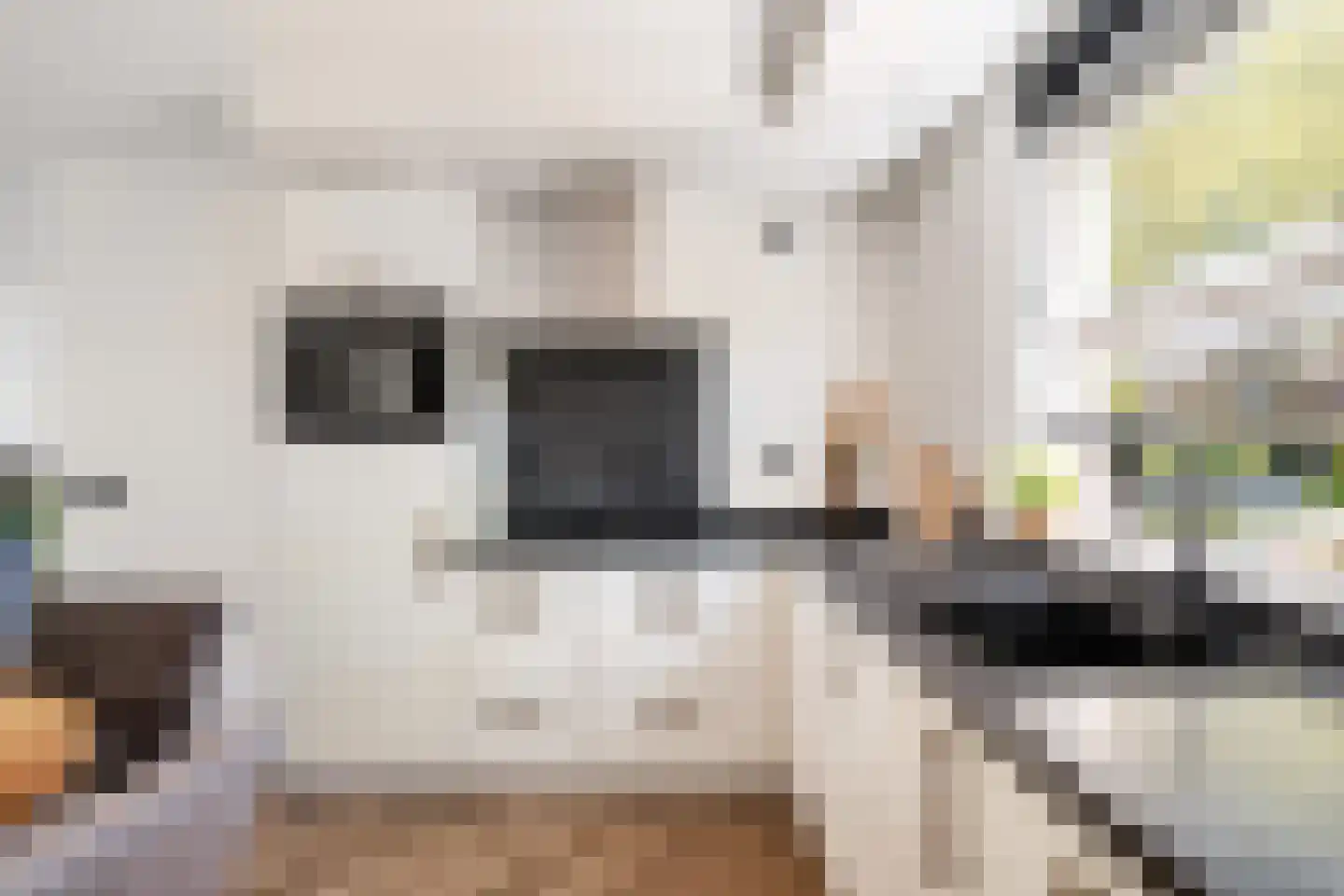 Geel-groenlaan 67 Zoetermeer thumbnail 4