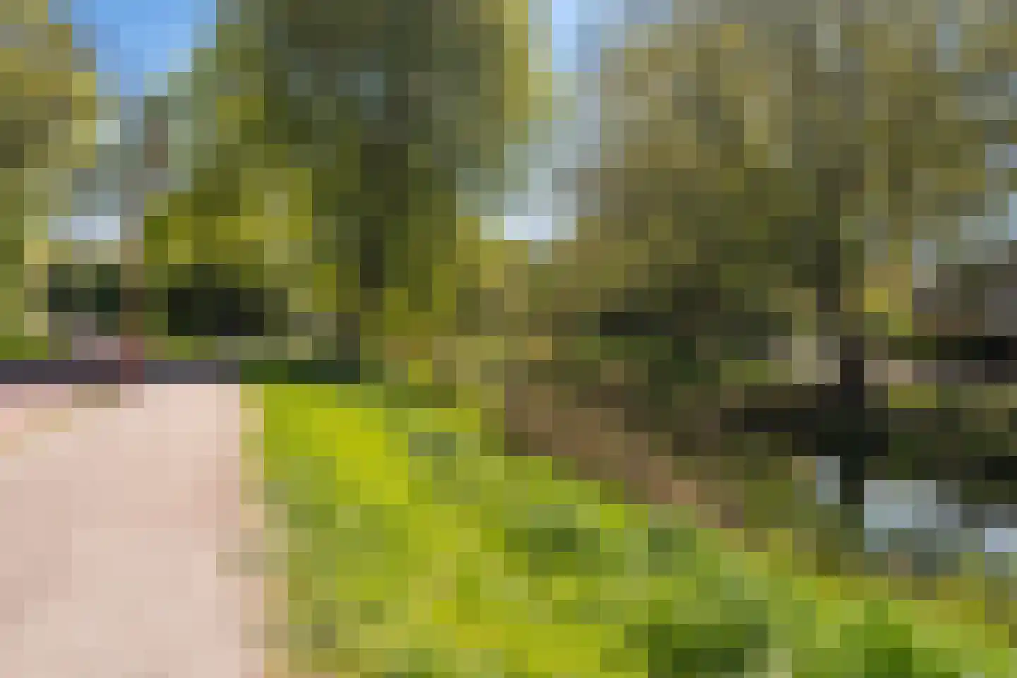 Geel-groenlaan 67 Zoetermeer thumbnail 46