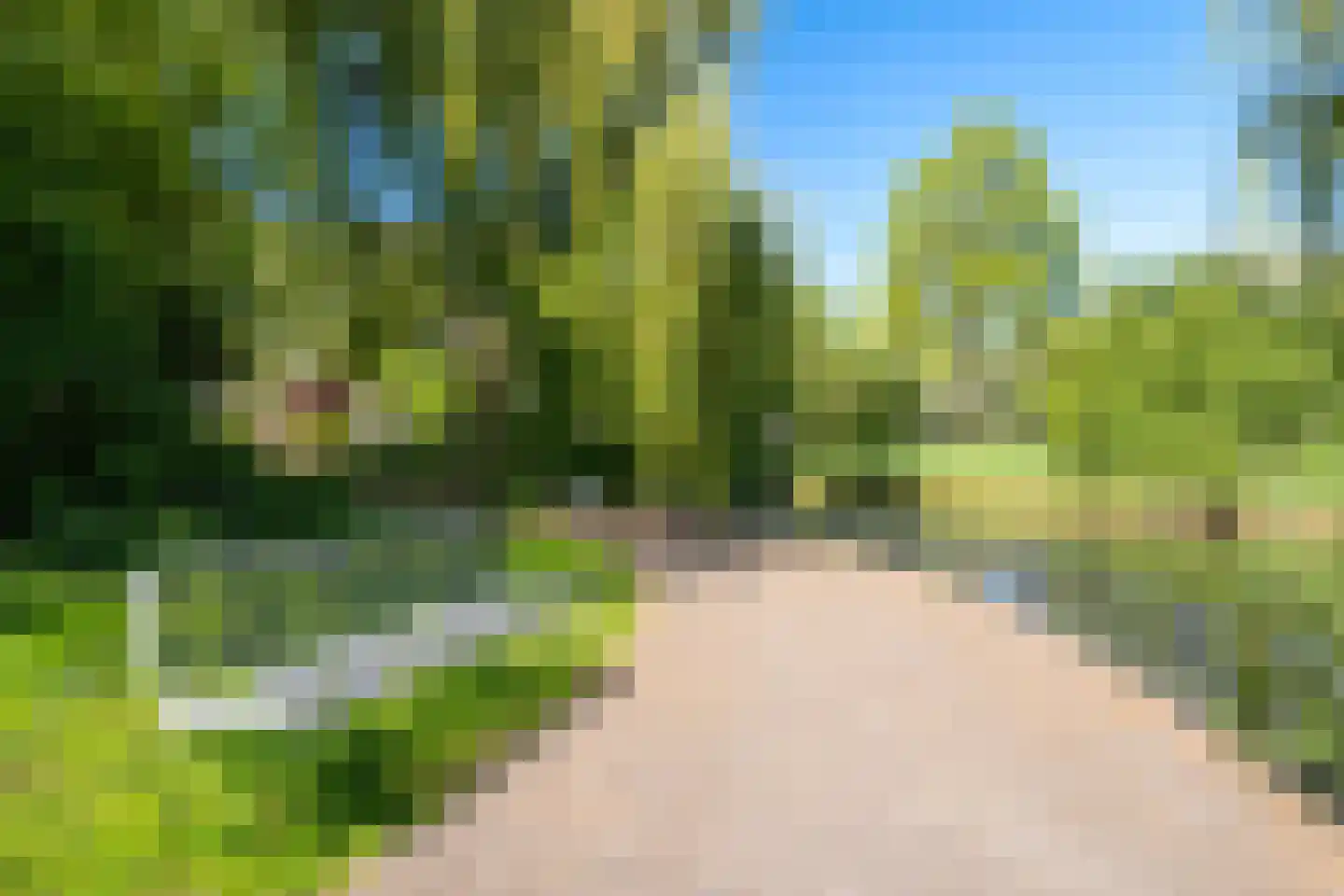 Geel-groenlaan 67 Zoetermeer thumbnail 47