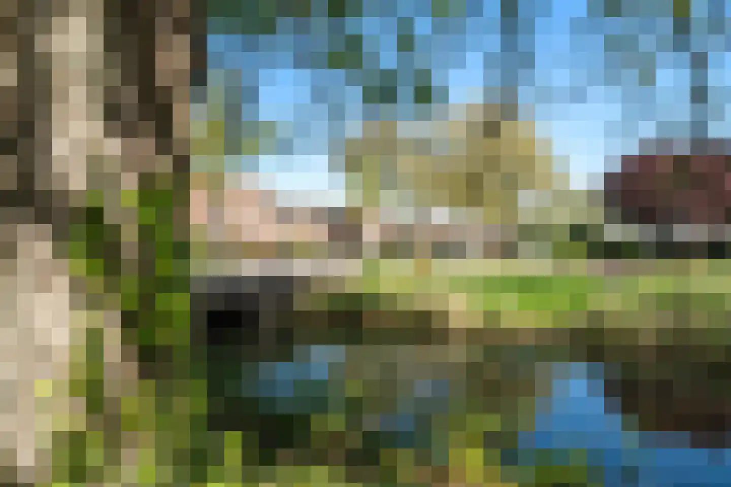 Geel-groenlaan 67 Zoetermeer thumbnail 49