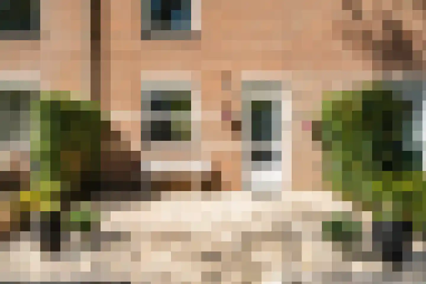 Geel-groenlaan 67 Zoetermeer thumbnail 6