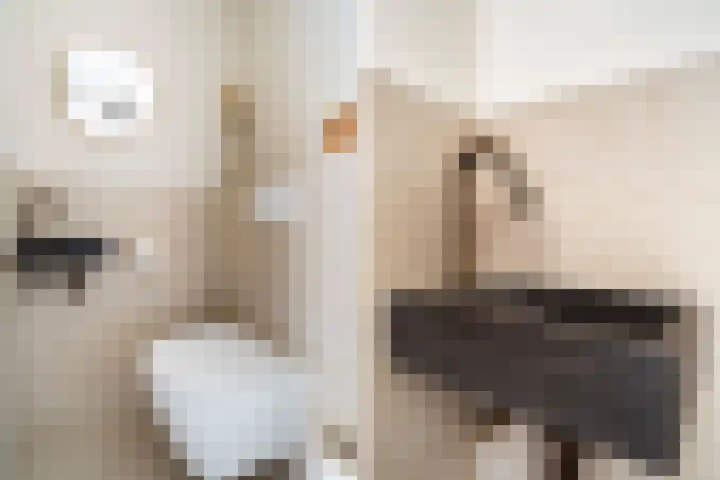 Geel-groenlaan 67 Zoetermeer thumbnail 8