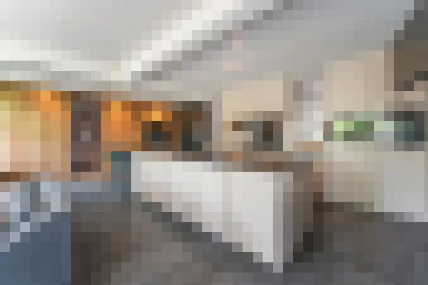 Geel-groenlaan 96 Zoetermeer thumbnail 12