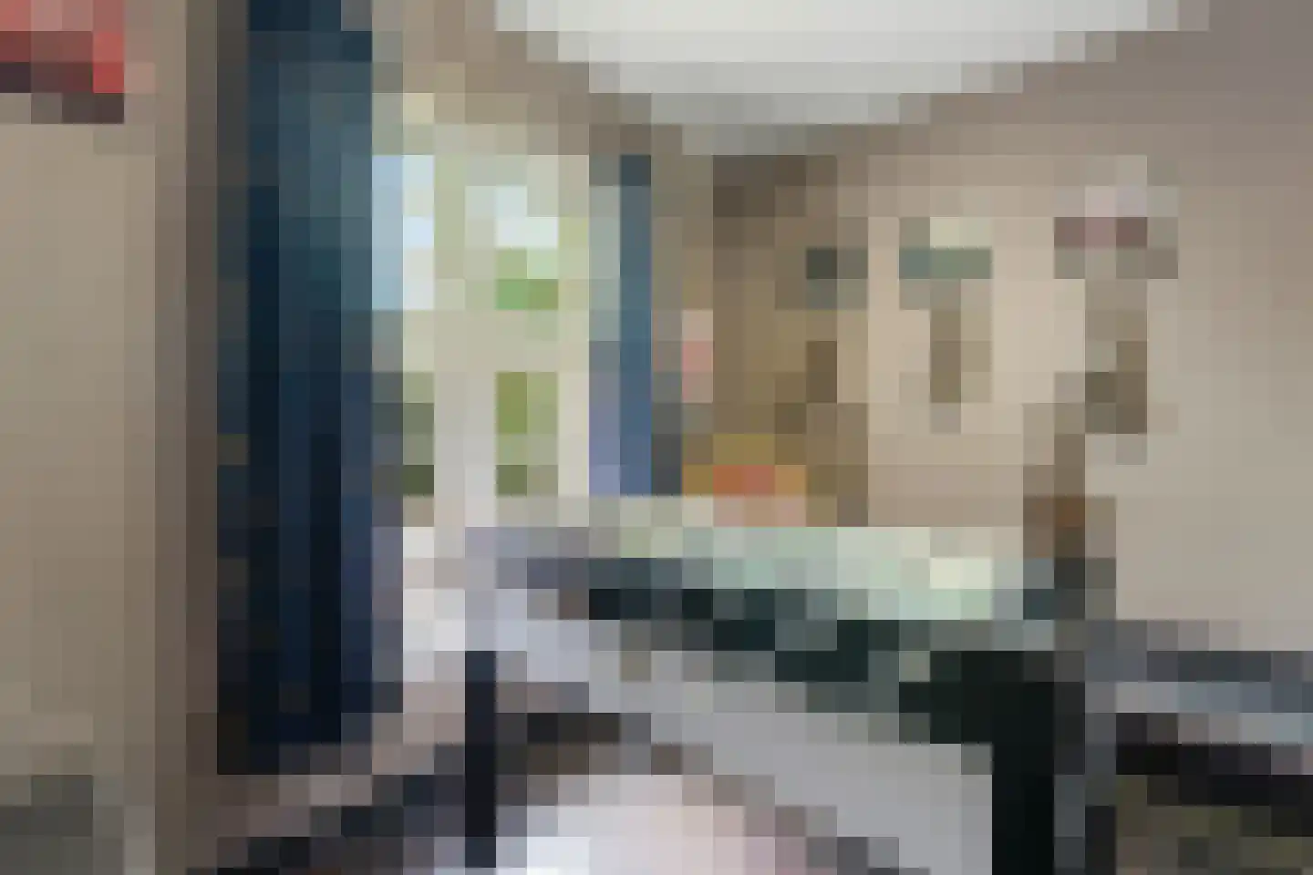 Geel-groenlaan 96 Zoetermeer thumbnail 18