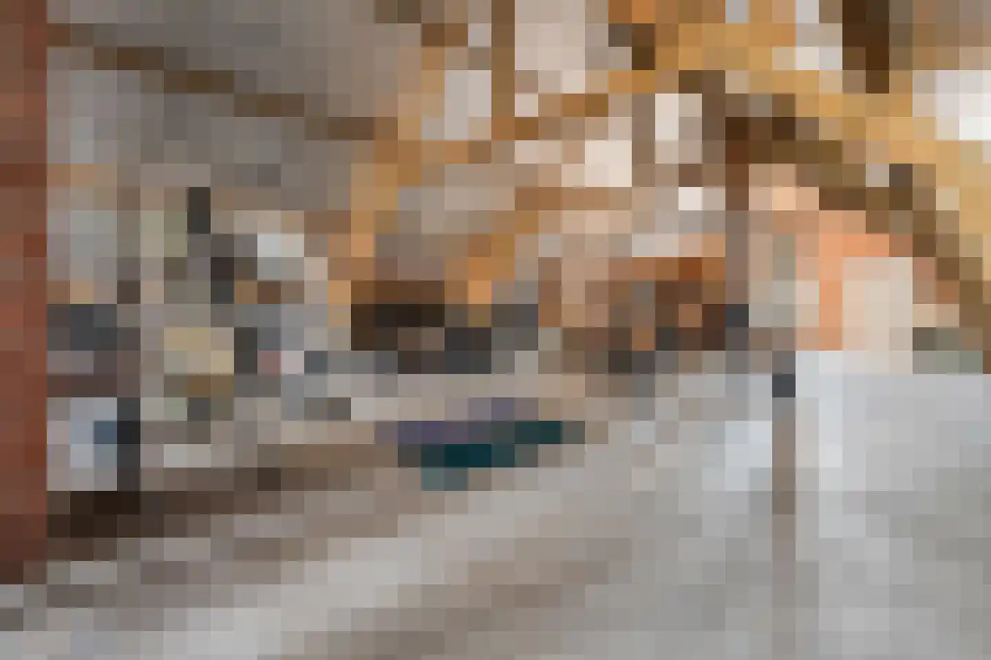 Geel-groenlaan 96 Zoetermeer thumbnail 31